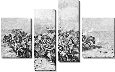 Модульная картина Зебры (Zebras)