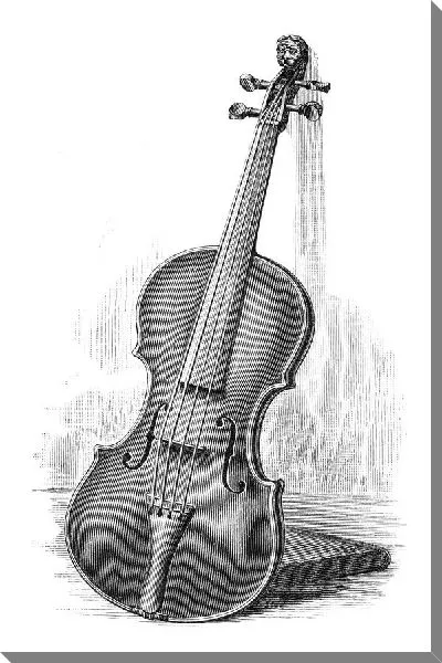Постер Скрипка (Violin) №12