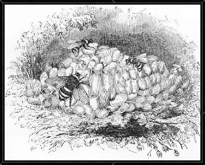 Пчелы (Bees) №2