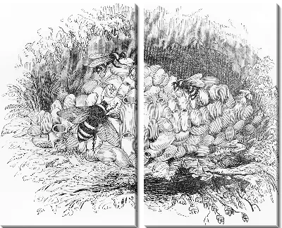 Пчелы (Bees) №2