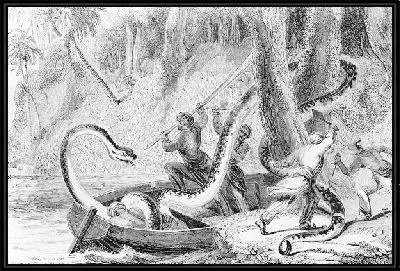Картина Змея в лодке (Snake in the boat)