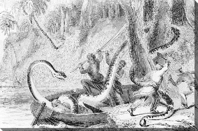 Постер Змея в лодке (Snake in the boat)