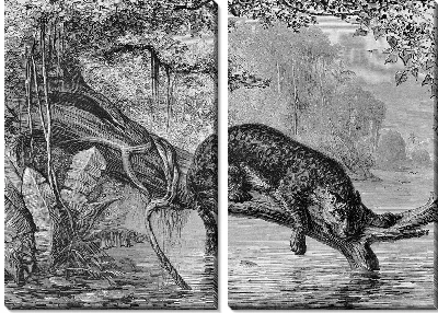 Модульная картина Леопард (Leopard) №12