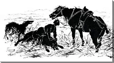 Постер Охота (Hunting) №4