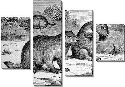 Модульная картина Дикие животные (wild animals)