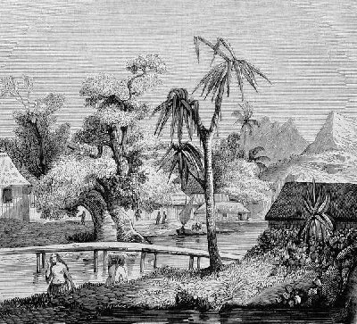 Плакат Тропический пейзаж (Tropical landscape)