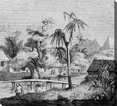 Постер Тропический пейзаж (Tropical landscape)