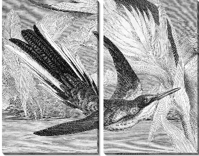 Модульная картина Птица в полете (Bird in flight)