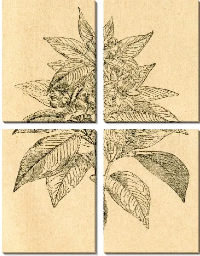 Модульная картина Растение (Plant) №6