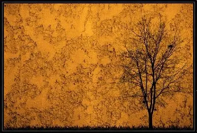 Картина Дерево (Tree) №31