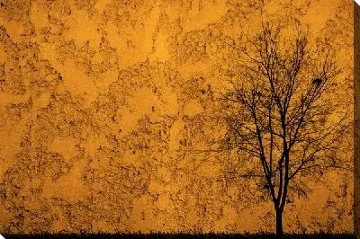 Постер Дерево (Tree) №31