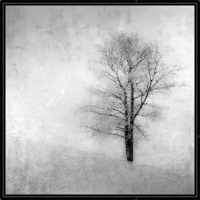 Картина Дерево осенью (Tree)