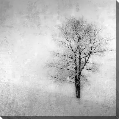Постер Дерево осенью (Tree)