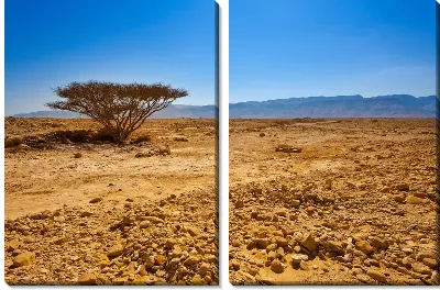 Модульная картина Израиль (Israel)