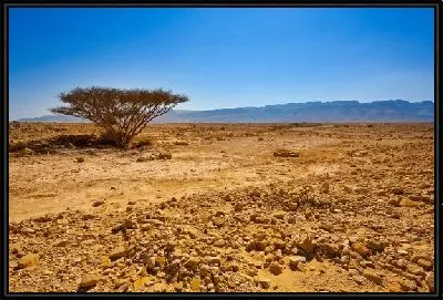 Картина Израиль (Israel)