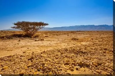 Постер Израиль (Israel)