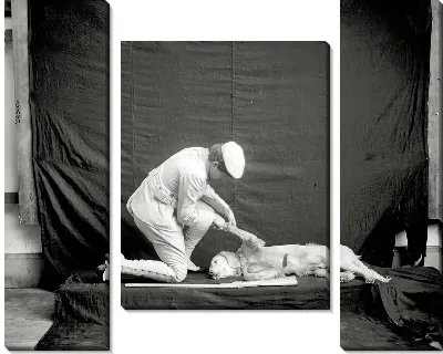 Модульная картина Мужчина и собака (Man and dog)