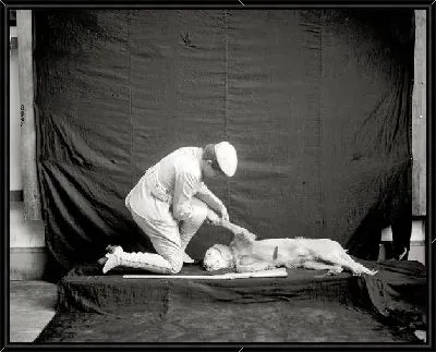 Картина Мужчина и собака (Man and dog)