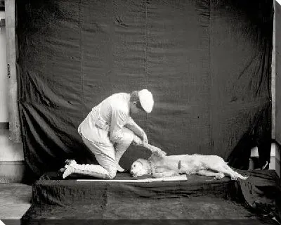 Постер Мужчина и собака (Man and dog)