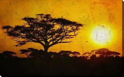 Постер Деревья а фоне заходящего солнца (The trees and the backdrop of the setting sun