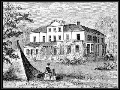Картина Здание школы (The school building)