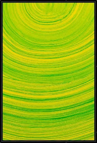 Картина Желто-зеленая композиция (Yellow-green arrangement)