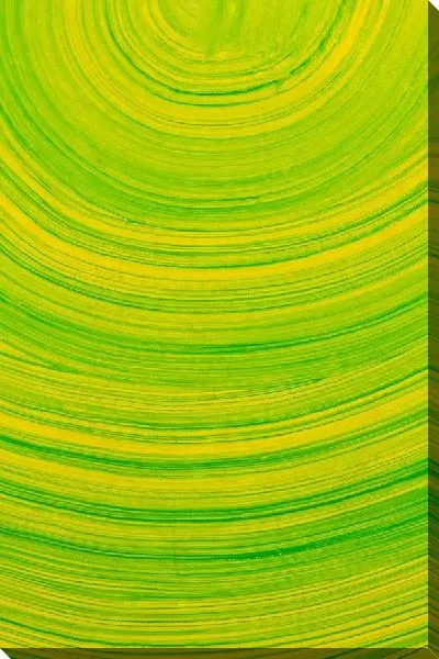 Картина маслом Желто-зеленая композиция (Yellow-green arrangement)