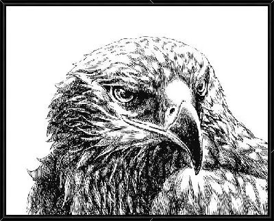 Орел (Eagle) №3