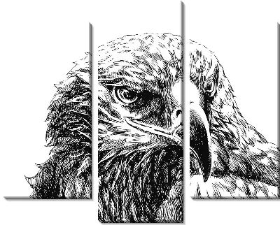 Орел (Eagle) №3