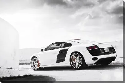 Постер Белая ауди (Audi)