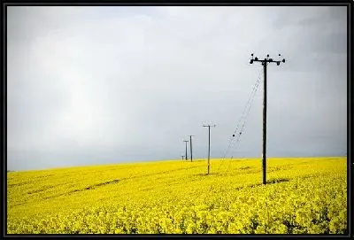 Картина Линии электропередач на поле (Power lines)