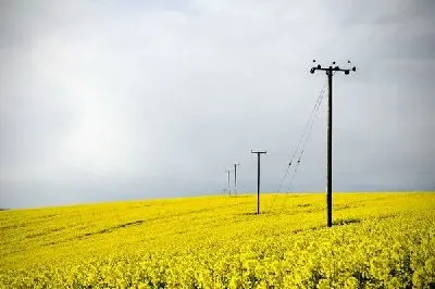 Плакат Линии электропередач на поле (Power lines)