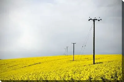 Постер Линии электропередач на поле (Power lines)