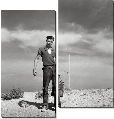 Модульная картина Мальчик с канистрой (The boy with the canister)