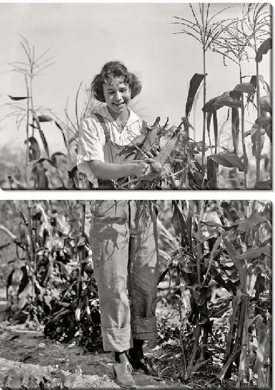 Модульная картина Женщина в поле кукурузы (A woman in a field of corn)