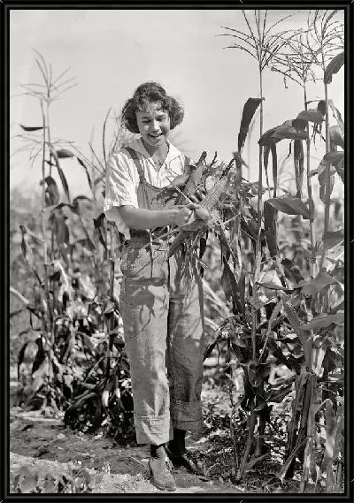 Картина Женщина в поле кукурузы (A woman in a field of corn)