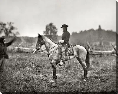 Постер Всадник на белой лошади (The Rider on the White Horse)
