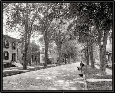 Картина Тенистая улица (Shady street) №2