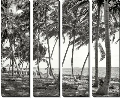 Модульная картина Майами (Miami) №2