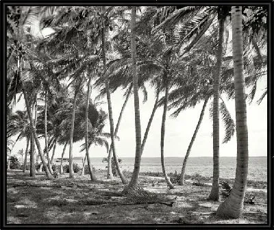 Картина Майами (Miami) №2