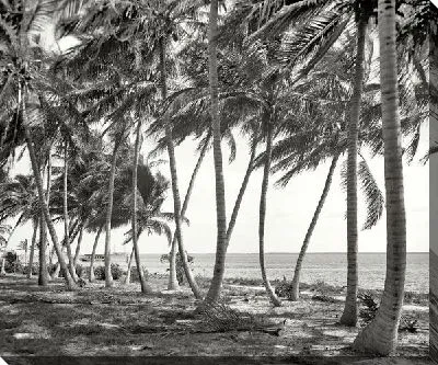 Постер Майами (Miami) №2