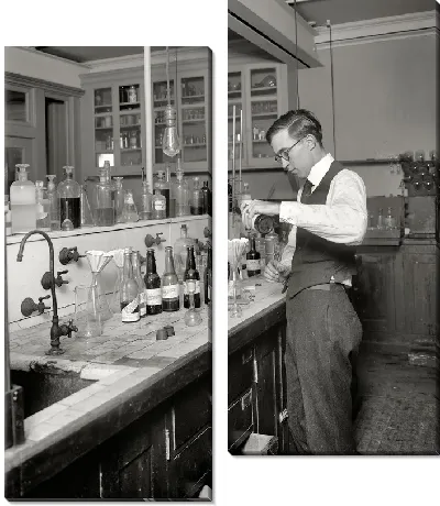 Модульная картина Коктейли (cocktails) №2