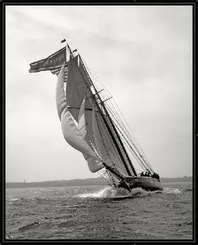 Картина Парусники (Sailboats) №5