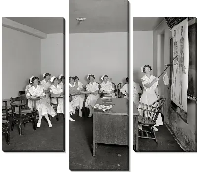 Модульная картина Изучение анатомии (the study of anatomy)