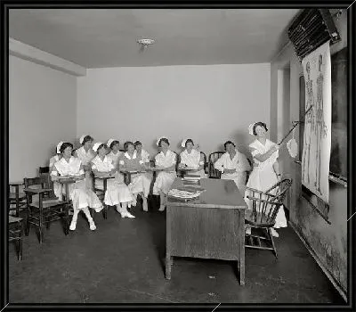 Картина Изучение анатомии (the study of anatomy)