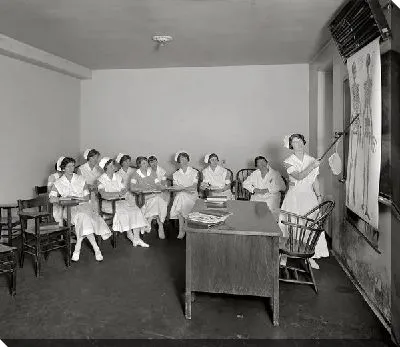 Изучение анатомии (the study of anatomy)