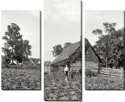 Модульная картина Лето (Summer)