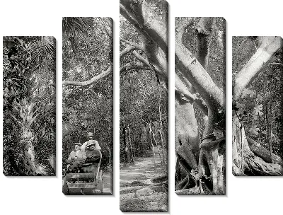 Модульная картина В джунглях (In the jungle)