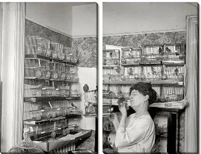 Модульная картина В зоомагазине (In the pet store)