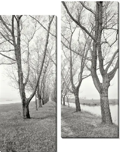 Модульная картина Аллея (Alley) №6